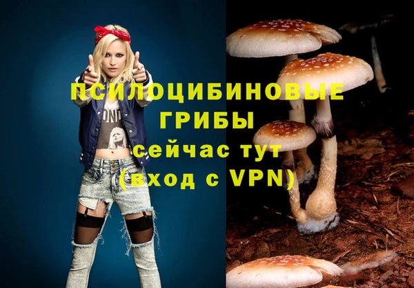 apvp Володарск