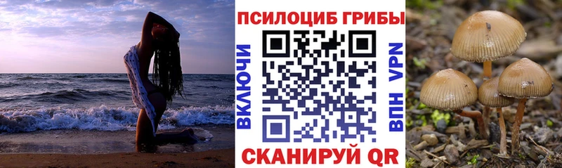 Купить закладки  Нестеров  Галлюциногенные грибы GOLDEN TEACHER 